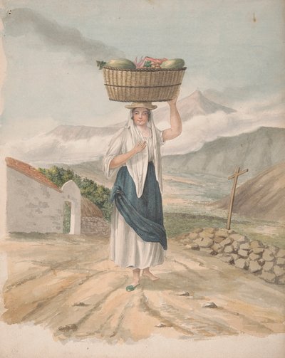 Port Orotava nősténye alkotó: Alfred Diston
