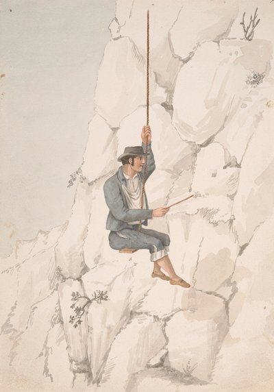 Gomero, Orchilla Gatherer alkotó: Alfred Diston