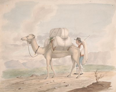 Betöltött Camel alkotó: Alfred Diston