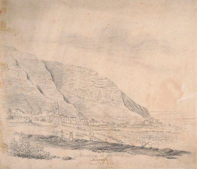 Realejo felülről, Tenerife alkotó: Alfred Diston