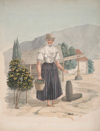A tenerifei El Miradero nője alkotó: Alfred Diston