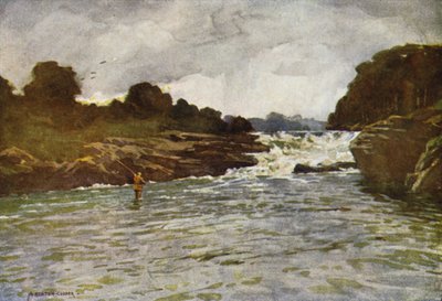 Kathleens vízesés, Ballyshannon alkotó: Alfred Heaton Cooper