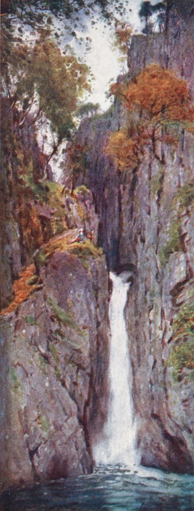Lake District: Dalegarth Force, Eskdale (színes litográfia) alkotó: Alfred Heaton Cooper