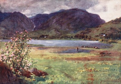 Lake District: Langdale Tarn (színes lithó) alkotó: Alfred Heaton Cooper