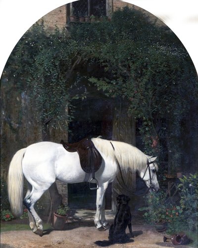 fehér ló és retriever alkotó: Alfred Hichens Corbould