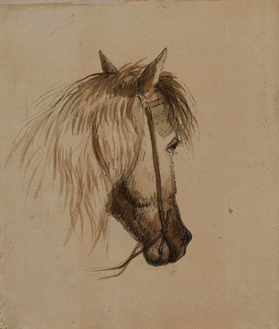 Lófej alkotó: Alfred Jacob Miller
