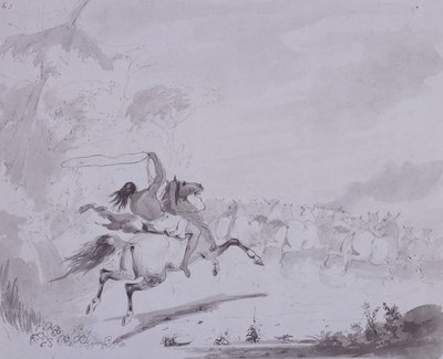 A lasszó dobása, 1837 körül (toll és tinta szürke mosással a szürke kártyán) alkotó: Alfred Jacob Miller