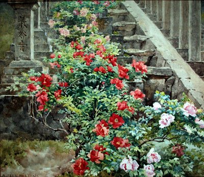 Pünkösdi rózsa a Hase Dera-ban – lépések a Kwannon-templomhoz, Japán (akvarell testfestékkel papíron) alkotó: Alfred Parsons