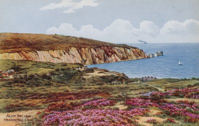 Alum Bay, Headon Hill, IOW alkotó: Alfred Robert Quinton