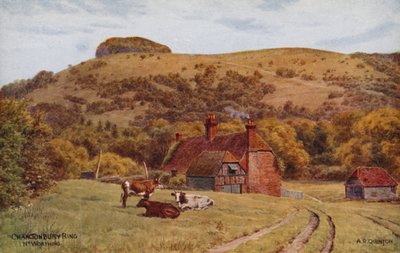 Chanctonbury gyűrű, Worthing alkotó: Alfred Robert Quinton