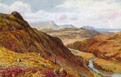 Precipice Walk, Dolgelley alkotó: Alfred Robert Quinton