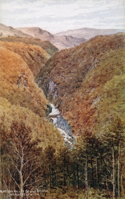 Rheidol-völgy, Devil