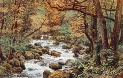 Torrent Walk, Dolgelley alkotó: Alfred Robert Quinton