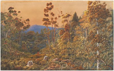 Aranyeste, Waiheke -sziget alkotó: Alfred Sharpe