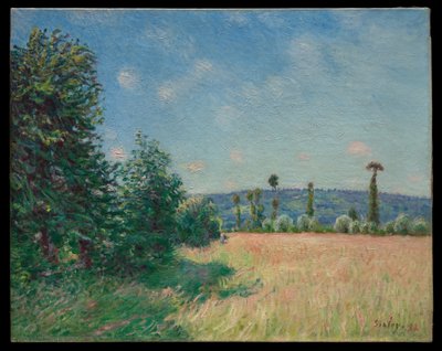 Sahurs rétjei a reggeli napfényben alkotó: Alfred Sisley
