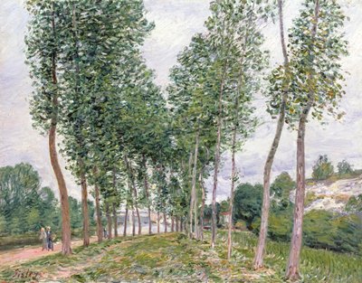 A nyárfák sugárútja a Loing partja mentén alkotó: Alfred Sisley