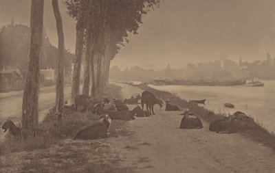  alkotó: Alfred Stieglitz