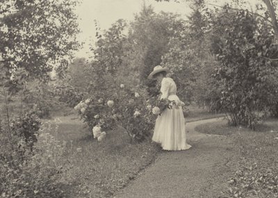 Az Oaklawnban alkotó: Alfred Stieglitz