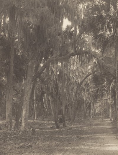  alkotó: Alfred Stieglitz