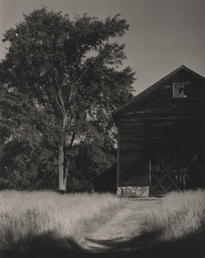  alkotó: Alfred Stieglitz