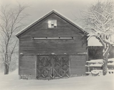 Gyerekek és hó alkotó: Alfred Stieglitz