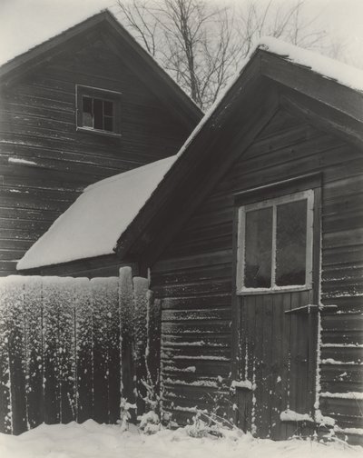 Gyerekek és hó alkotó: Alfred Stieglitz
