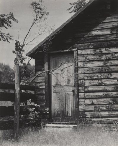  alkotó: Alfred Stieglitz