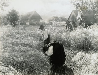 Kora reggel alkotó: Alfred Stieglitz