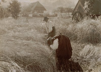 Kora reggel alkotó: Alfred Stieglitz