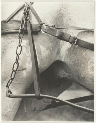 Egyenértékű, spirituális Amerika alkotó: Alfred Stieglitz