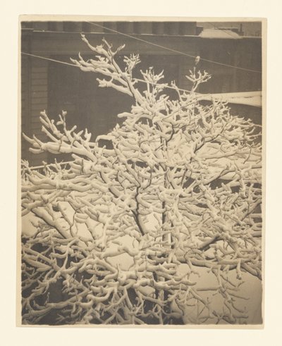 A 291-es hátsó ablakából alkotó: Alfred Stieglitz