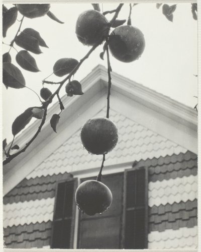 Gable és az almák alkotó: Alfred Stieglitz