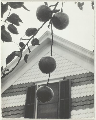 Gable and Apples, 1922. alkotó: Alfred Stieglitz