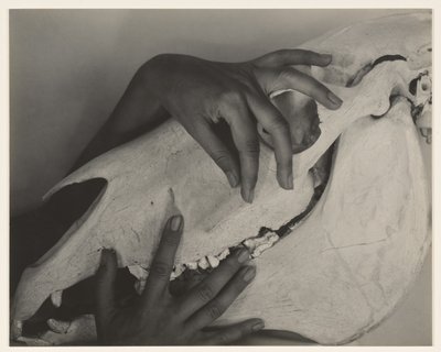  alkotó: Alfred Stieglitz