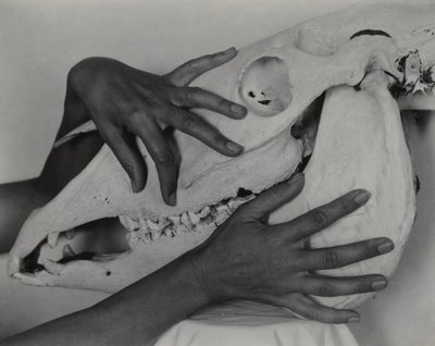  alkotó: Alfred Stieglitz