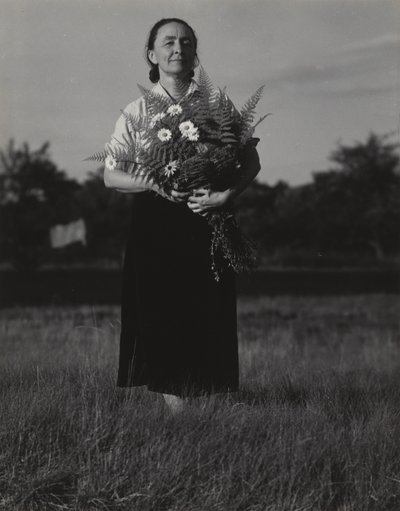 Georgia O’Keeffe alkotó: Alfred Stieglitz