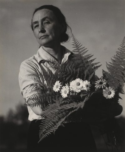Georgia O’Keeffe alkotó: Alfred Stieglitz