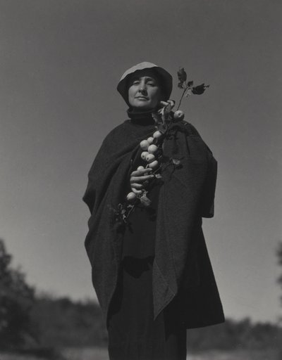  alkotó: Alfred Stieglitz