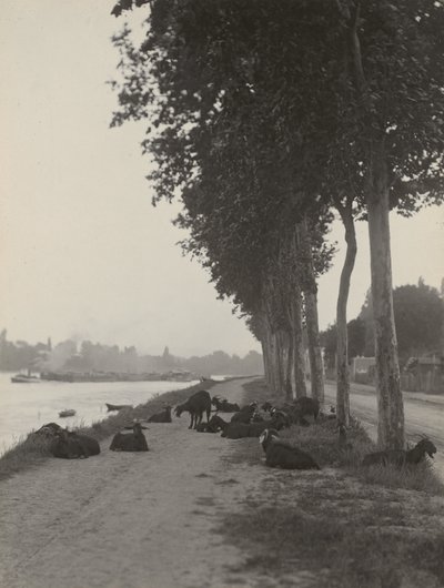  alkotó: Alfred Stieglitz