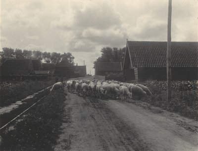  alkotó: Alfred Stieglitz