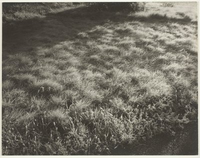Fű és fagy alkotó: Alfred Stieglitz