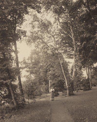Hedwig ösvénye, Oaklawn, George-tó alkotó: Alfred Stieglitz