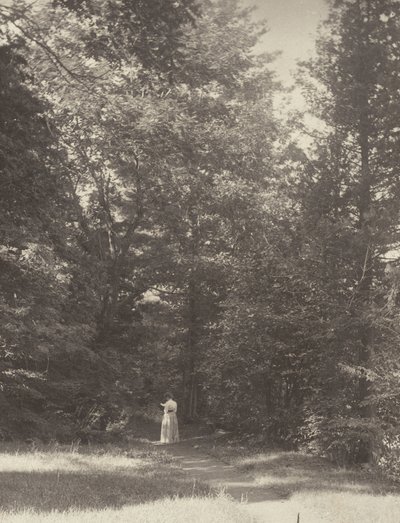  alkotó: Alfred Stieglitz