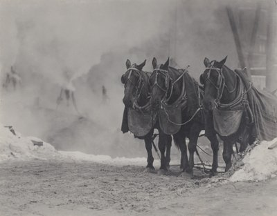 Lovak, New York alkotó: Alfred Stieglitz