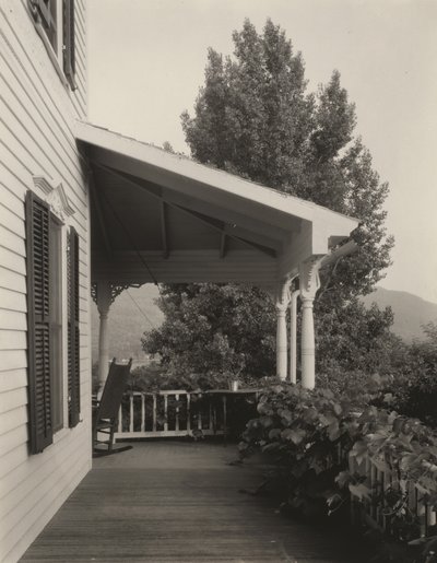 Ház, levelek és fa alkotó: Alfred Stieglitz