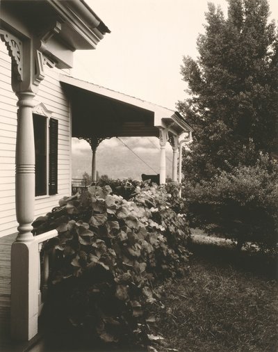 Ház és szőlőlevelek alkotó: Alfred Stieglitz