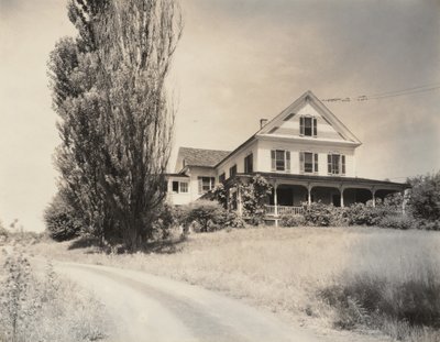 House és Poplars, Lake George alkotó: Alfred Stieglitz