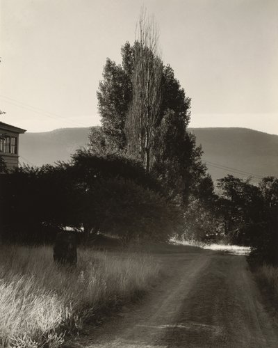  alkotó: Alfred Stieglitz