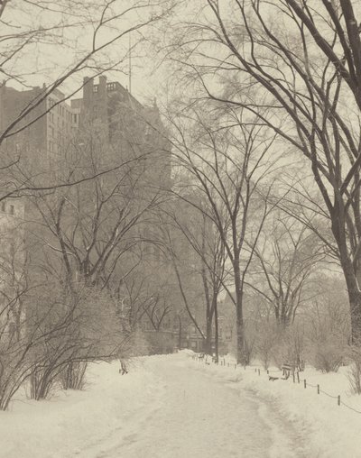 A parkban alkotó: Alfred Stieglitz