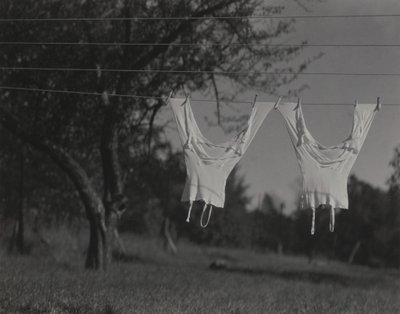  alkotó: Alfred Stieglitz